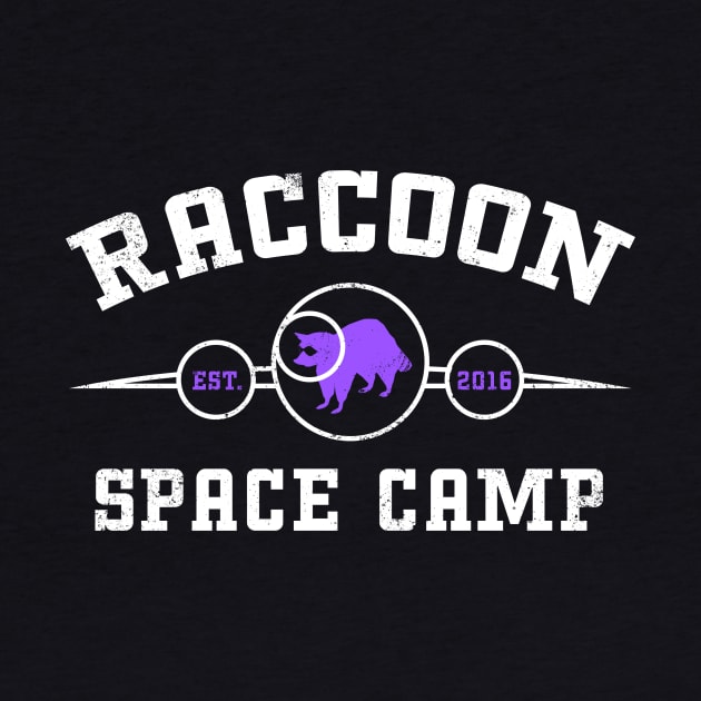 Raccoon Space Camp by Procyon Podcast Network